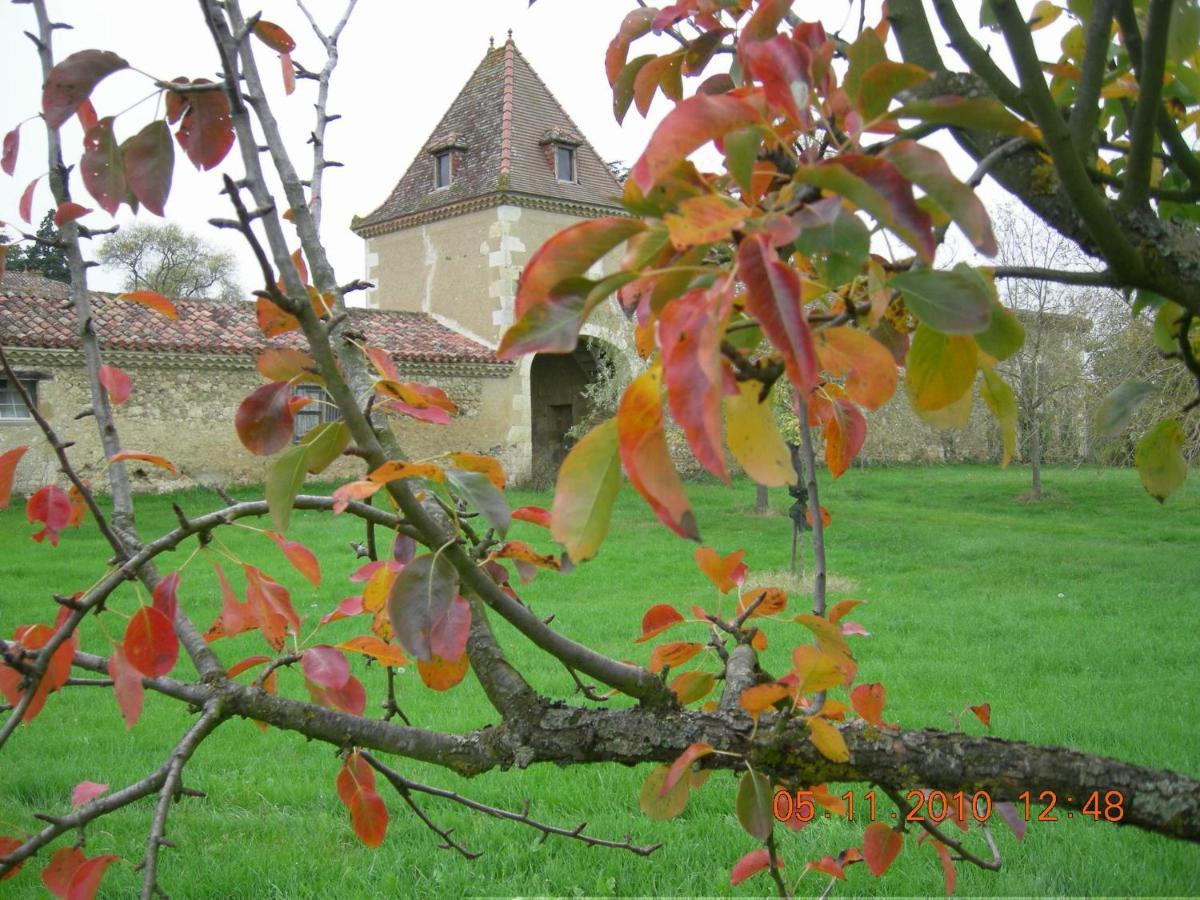 Domaine D'Entudelle Bed & Breakfast Lussan  Dış mekan fotoğraf